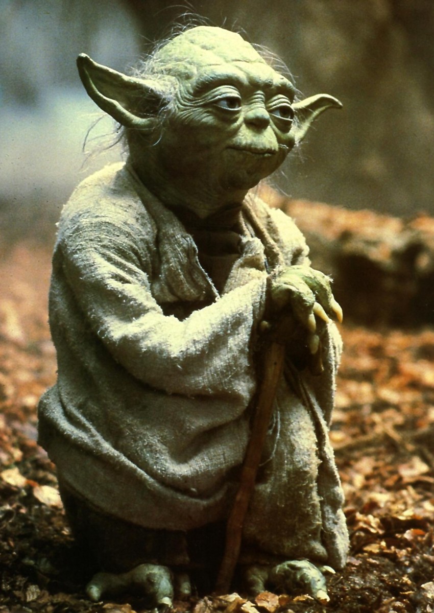 Yoda, Luke Skywalker, audience, presentations, 