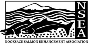 Nooksack Salmon Enhancement Assoc Logo